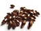 30 10.5mm Vintage Red Copper Faceted Oval Beads Vintage Copper Plated Plastic Beads